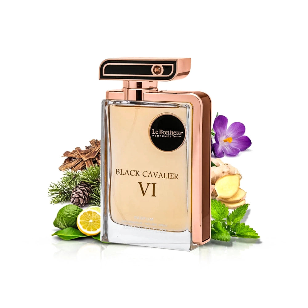 Black Cavalier VI 100ml